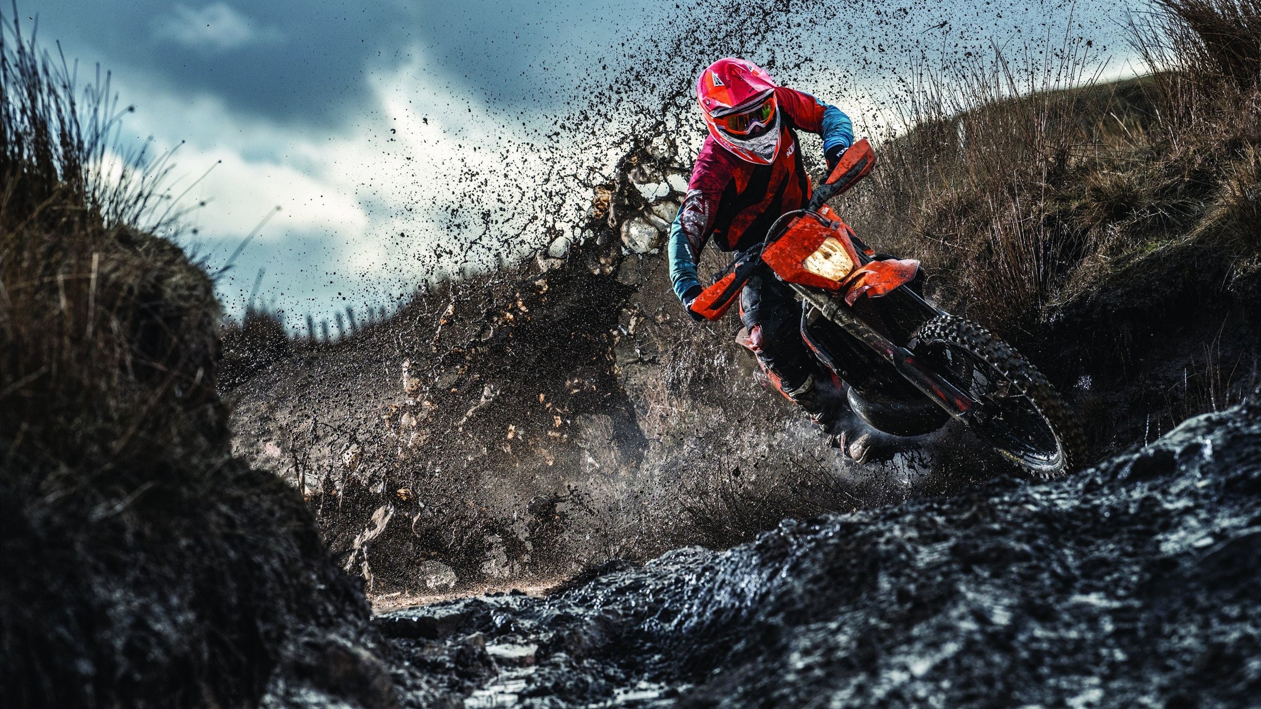 车手激烈角逐，谁能笑到最后？，车手视频